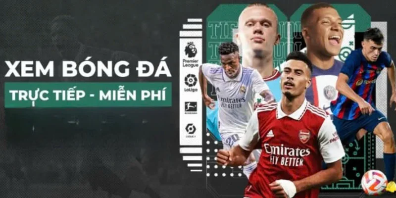 4 phương thức liên lạc với trang web cá heo