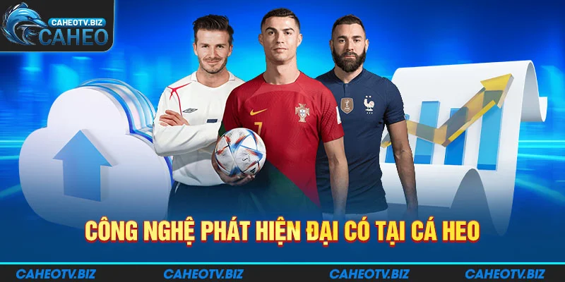 Công nghệ phát hiện đại có tại Cá Heo