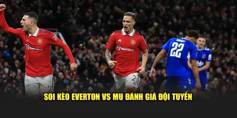 Soi kèo Everton vs MU đánh giá đội tuyển